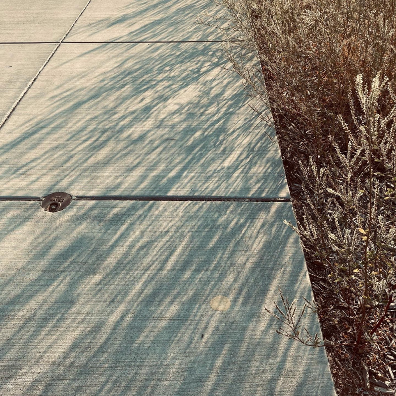 Sidewalk Shadow